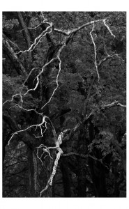 Landscapes Earth Lightning Stockbridge MA